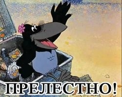 Паровозик из невнимательных водителей