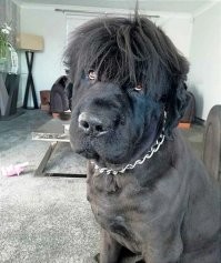 Так просто красовец!!!