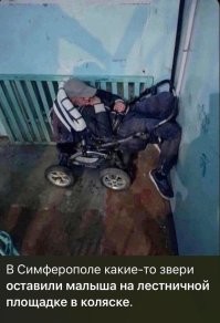 Фотоприколы и&nbsp;прикольные картинки