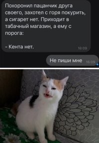 Комментарии и картинки из соцсетей. Свежак за 30 марта