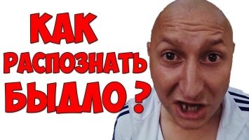 Пьяная женщина вызвала вместо такси скорую помощь и поплатилась