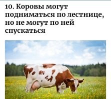 13 немыслимых фактов, которые расширят ваш кругозор