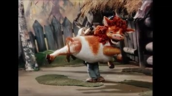 Татарская бабушка впервые увидела мейн-куна