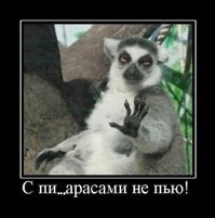 Илон Маск занялся производством пива