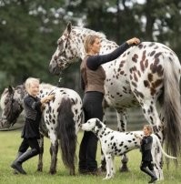 Просто гифки, всякие и&nbsp;разные