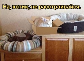 Фотоприколы и&nbsp;прикольные картинки