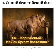 14 любопытных фотографий всяких редкостей