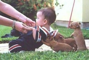 Намешалось