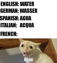 Скрины из соцсетей&nbsp;