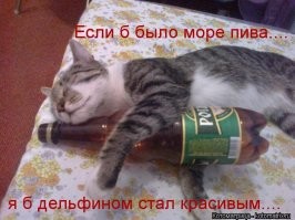 Вот хоть одна новость "хорошая" с аварии на ЖД.