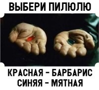 Вспомнилось:



В детстве первый удар в спину получаешь от леденца "барбарис", который усыпляет твою бдительность своим неповторимым вкусом и сладостью, и когда ты совсем не ждешь предательства, конфета режет твой язык трещиной, которая образовалась в процессе cоcания... Добро пожаловать в жестокий взрослый мир, сосунок.