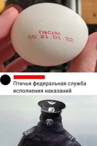 Вертухай - петух :)