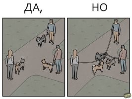 Да этих да. но в интернете..............