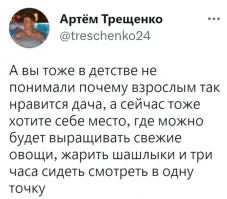 Я, вроде, взрослый, пенсионер, до сих пор не 
понимаю, зачем нужна дача. 
 Нравится сельская жизнь - живи в деревне.
 Сажаешь картошку и огурцы, потому что НА ПЕНСИЮ ЖРАТЬ НЕЧЕГО - смени власть.
 И не смотри центральное телевидение. 
 А так же не читай в интернете комментарии холуёв.