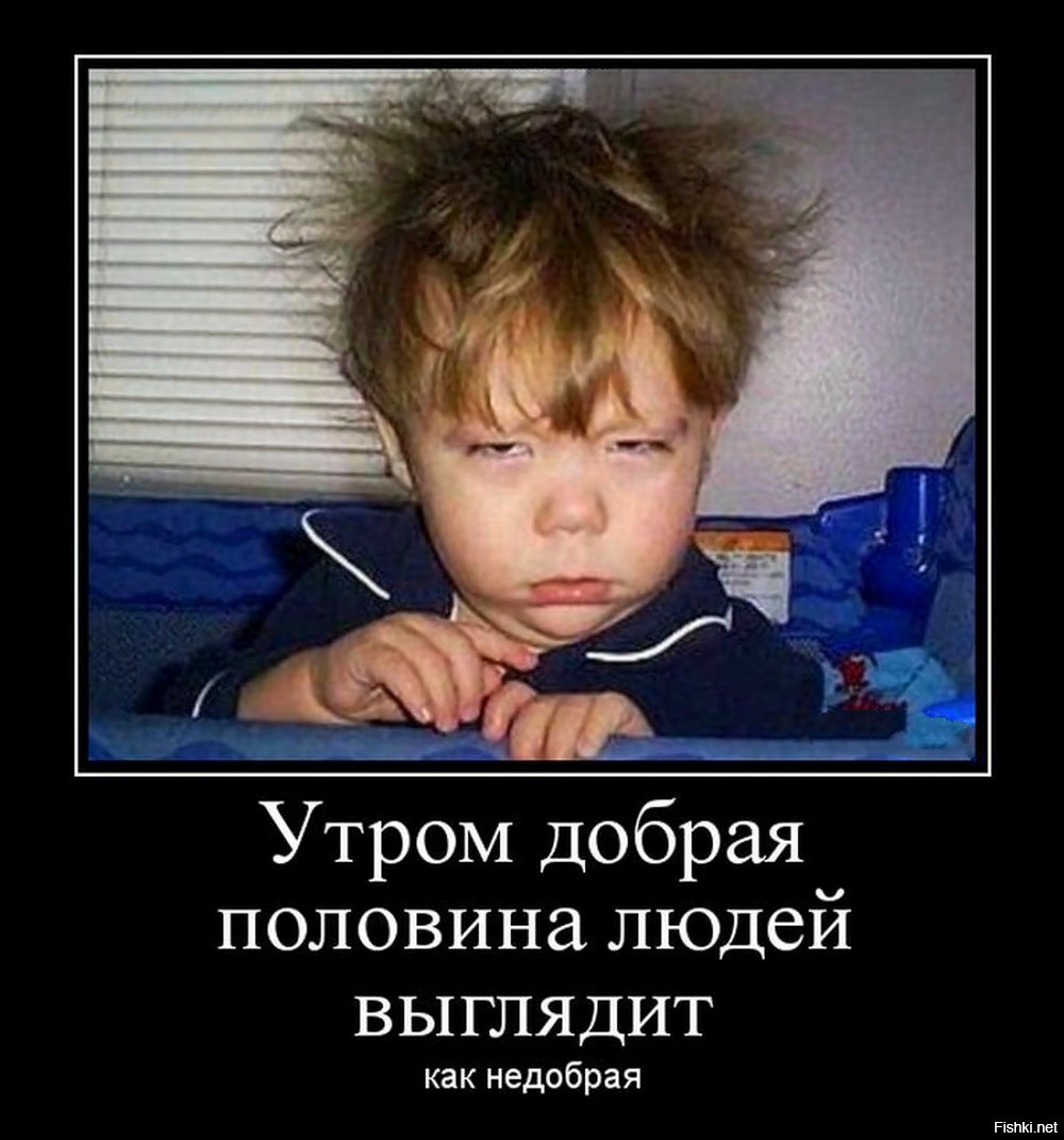 https://cdn.fishki.net/upload/users/2023/04/04/1113380/cc93669fce515ac4e9980739b662f3ad.jpg