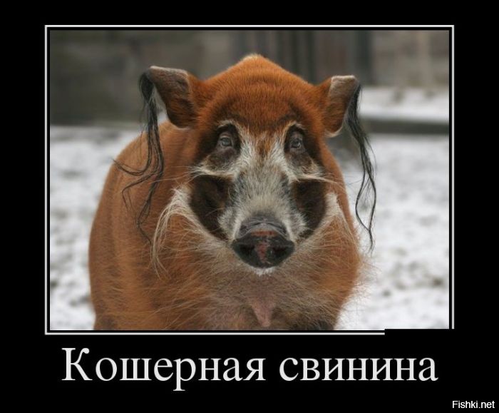 Ну если только такое