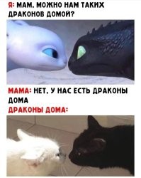 Намешалось