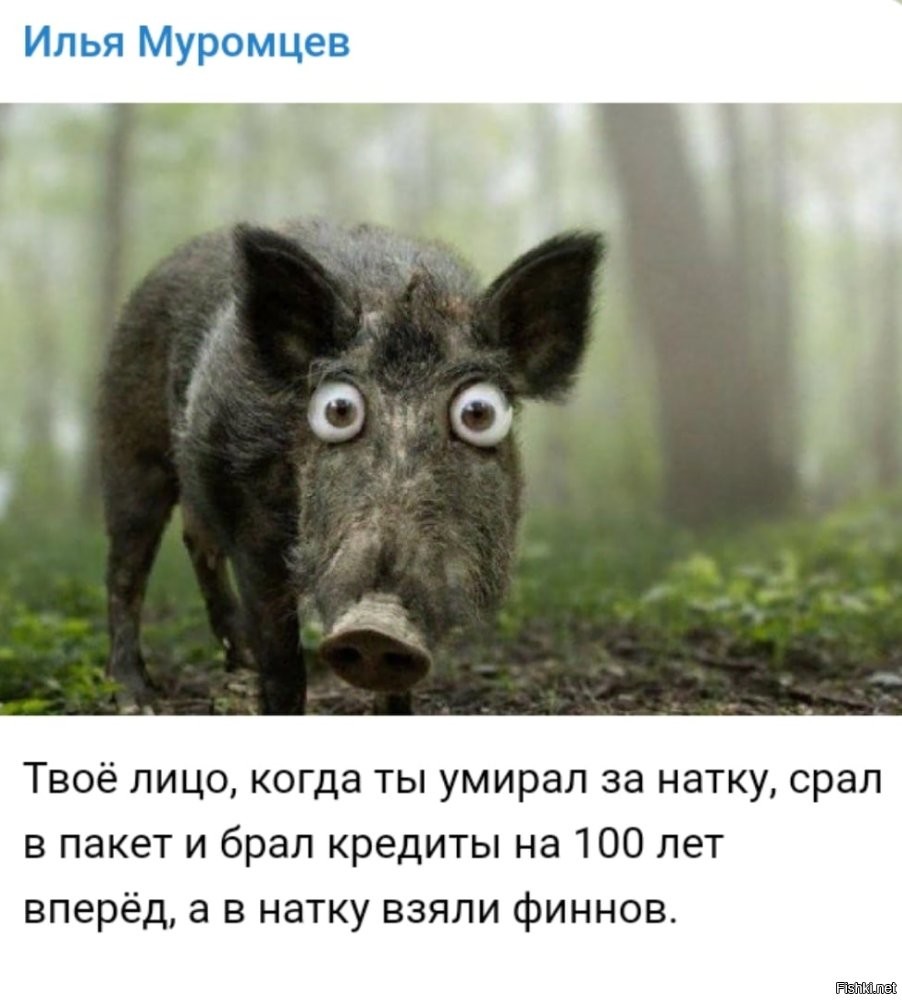 О политике и не только