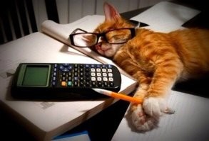 хороший сотрудник - на вес золота...