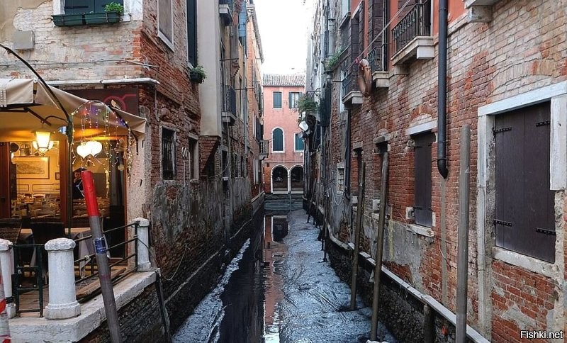 в это время каналы Венеции