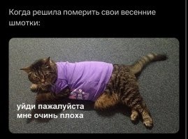 Комментарии и картинки из соцсетей. Свежак за 3 апреля
