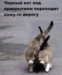 Фотоприколы и&nbsp;прикольные картинки