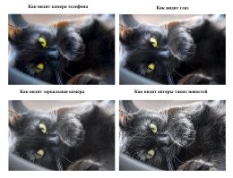 Для понимания, на примере моей кошки))).