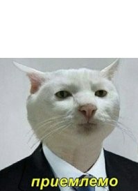 Скрины из соцсетей&nbsp;