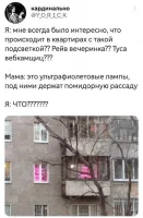 В Германии с таким светом в окнах нередко полицаи с проверкой заглядывают.