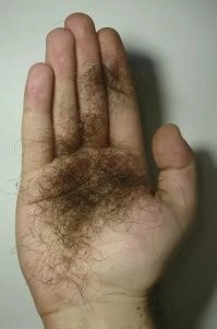 И как с тобой за руку здороваться?