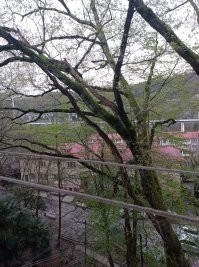 Вид из твоего окна: фотографии со всего мира