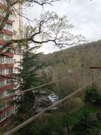 Сочи сейчас.