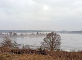 Фото из моего окна в прошедшее воскресенье.
Деревня Мышкино Можайского района.