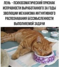 Юмор из жизни инженера