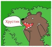Неожиданная встреча мотоциклистов с медведем в лесу