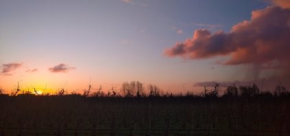 Вид из твоего окна: фотографии со всего мира