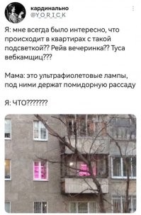 Угу. У меня напротив в доме гражданин на балконе с октября по апрель "рассаду выращивает". :-)