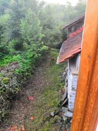 Вид из твоего окна: фотографии со всего мира