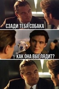 Фотоприколы и&nbsp;прикольные картинки