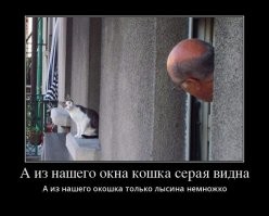 Вид из твоего окна: фотографии со всего мира