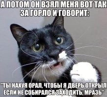Непередаваемые эмоции братьев наших меньших