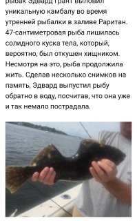 Рыбы живучие.