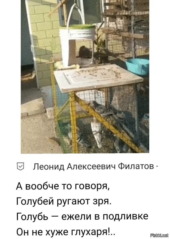 Просто гифки, всякие и&nbsp;разные