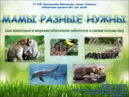 Корова пытается найти своего потерянного телёнка