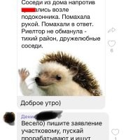 Похожая история была.В доме напротив на балконе парочка сексом занималась.Мы с женой помахали им,они нам.