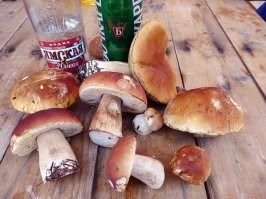 История популяризации трюфеля: как невзрачный гриб, похожий на комок грязи, превратился в предмет гастрономического экстаза