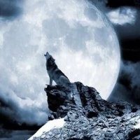 14 неудачных подкатов от горе-пикаперов