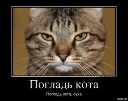Злой пушистый контролёр в турецкой подземке