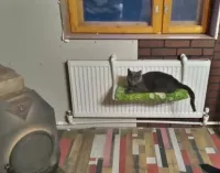 Вооот такой респект!