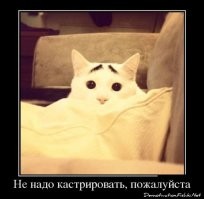 Неприкасаемые: как это работает